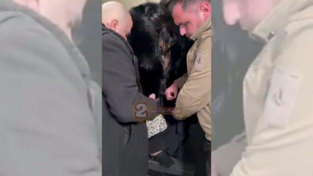 B&uuml;lent Ersoy, adeta &ccedil;ileden &ccedil;ıktı! O haline kimse inanamadı