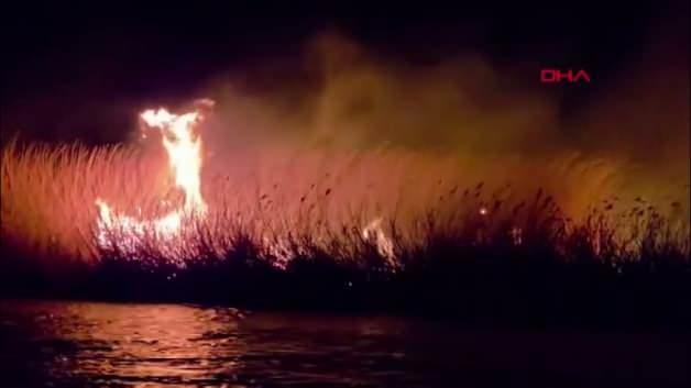 Hatay’da korkutan yangın: Milleyha Kuş Cenneti alevlere teslim