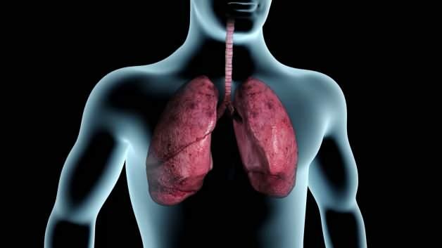 9 Şubat D&uuml;nya Sigarayı Bırakma G&uuml;n&uuml;'nde uzmanından &ccedil;arpıcı uyarılar!