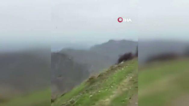 Şırnak'ta hayrete d&uuml;ş&uuml;ren g&ouml;r&uuml;nt&uuml;ler: Kartalın domuz avı saniye saniye kamerada