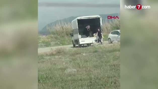 Hatay Milleyha Sulak Alanı'nda çekilen görüntü sonrası yetkililer inceleme başlattı.