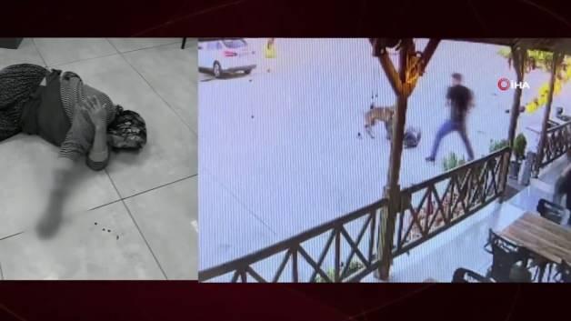 Afyonkarahisar'da başıboş k&ouml;pek ter&ouml;r&uuml; devam ediyor