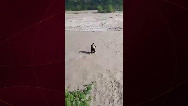 Azerbaycan'da azgın nehir sularında mahsur kalan bir çocuğu kurtaran polis memuru.