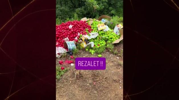 Çanakkale Yenice'de ormanlık alana dökülmüş tonlarca taze sebze.