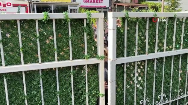 LGS sınavı öncesi okul bahçesinde bekleyen öğrenciler ve veliler