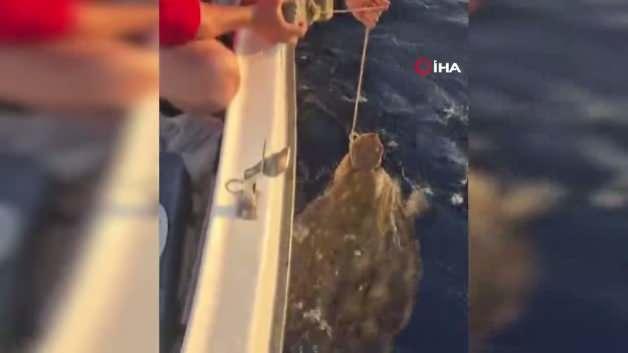 Ayağına taş bağlanmış Caretta Caretta cinsi deniz kaplumbağası kurtarılıyor.