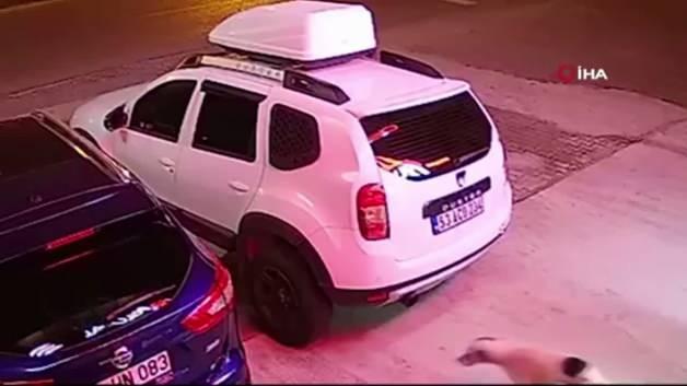 Kayseri'de köpeğe çarpmamak için manevra yapan sürücü kazada hayatını kaybetti