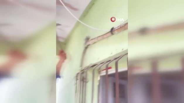 Evdeki klima deliğine giren sikkeli yılanın yakalanma ve doğaya salınma anı