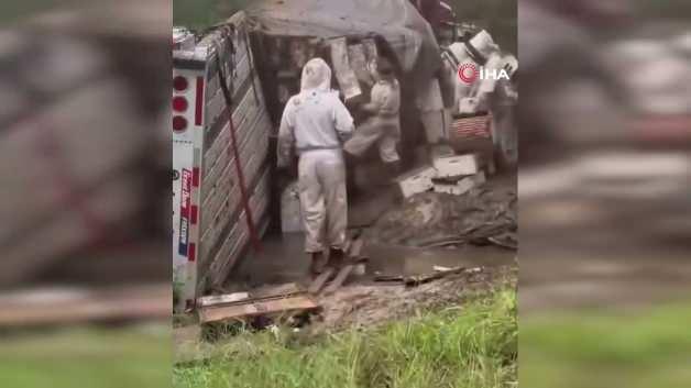 ABD'nin Teksas eyaletinde devrilen kamyondan yayılan arılar
