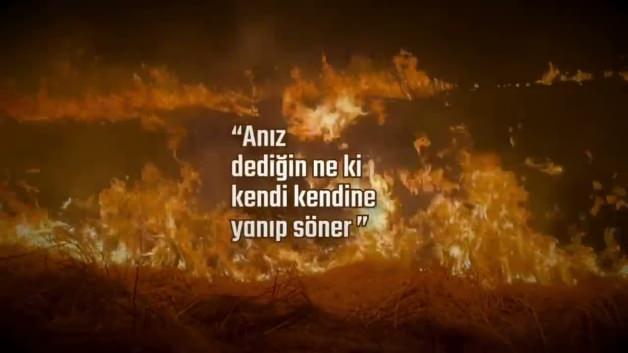 Tarım ve Orman Bakanlığı uyardı: ”Ufak ihmaller geleceğimizi küle çeviriyor” Tarım ve Orman Bakanlığı uyardı: ”Ufak ihmaller geleceğimizi küle çeviriyor”