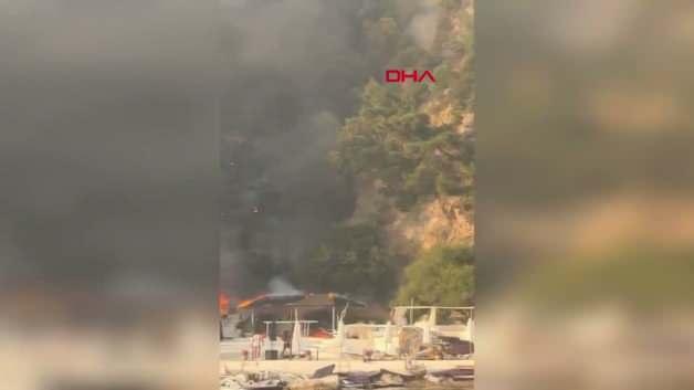 Büyükada'da yangın çıkan plaj ve ormanlık alan