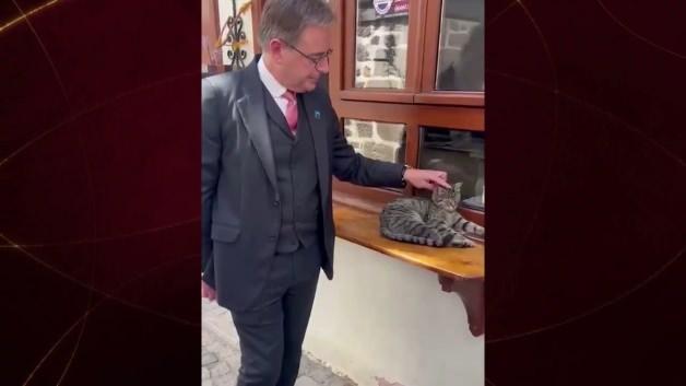 Belçika Başbakanı De Wever’den gülümseten kedi paylaşımı: “Dostça bir Türk kedisi” Belçika Başbakanı De Wever’den gülümseten kedi paylaşımı: “Dostça bir Türk kedisi”