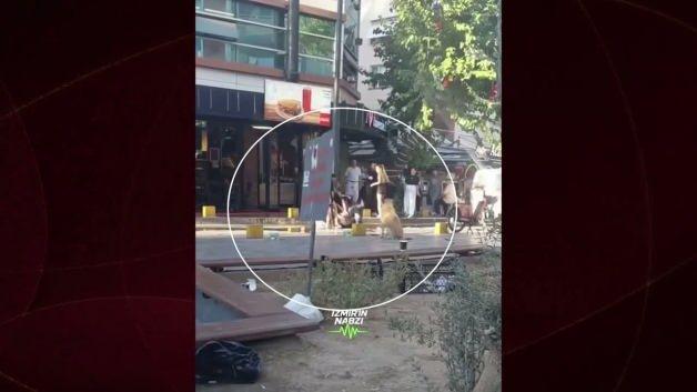 Bornova Küçükpark'ta obez olduğu belirtilen bir köpeğe börek verme girişimi sonrası yaşanan tartışma anı.
