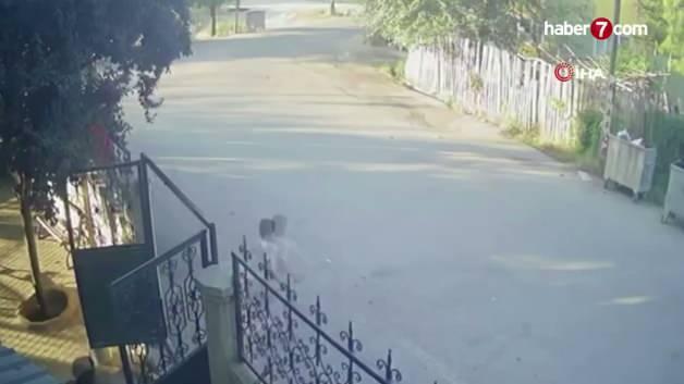 Malatya'da meydana gelen 5 büyüklüğündeki deprem sırasında, evlerinin önünde oyun oynayan çocukların panik içinde kaçışmaları güvenlik kamerası görüntüsüne yansıdı.