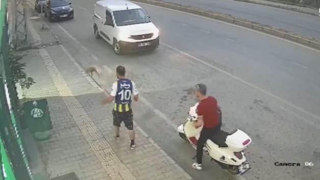 Samsun'da bir kedinin tekme yediği anı gösteren görüntüden bir kesit.