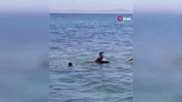 Şarköy'de denizde yüzen bir grubun yanına yaklaşan yavru bir yunus görüntüsü.