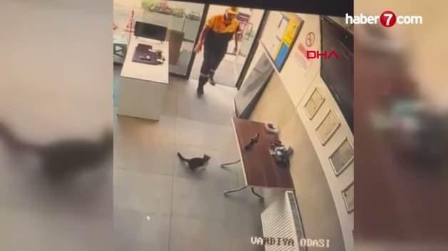 Kayseri'de bir akaryakıt istasyonunun ofisinde kediden kurtarılan karga.
