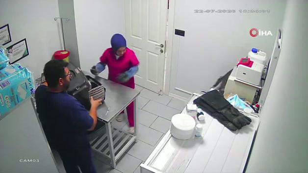 Bursa'daki bir veteriner kliniğinde kısırlaştırma öncesi ortalığı birbirine katan bir kedi.