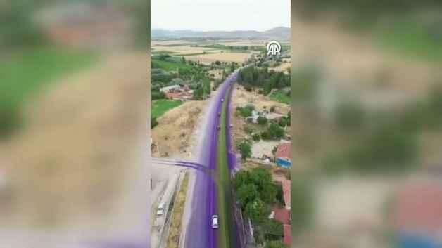 Afyonkarahisar'da araçları morartan şirketlere 21 milyon TL ceza