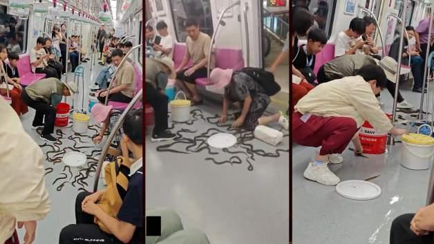 Çin'de devrilen kovadan saçılan yılan balıkları metroda panik yarattı
