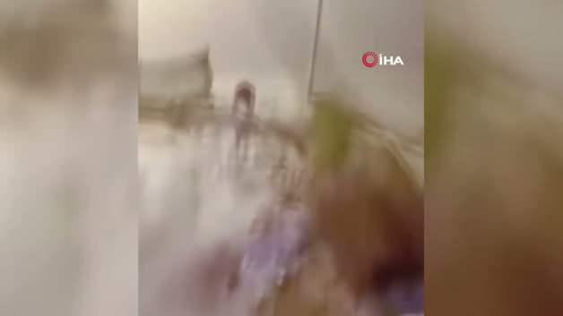 Kardeş kavgası kanlı bitti! Tartıştığı ağabeyine aracıyla &ccedil;arptı 