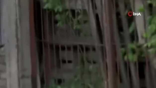 video7