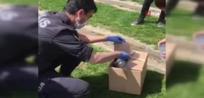 Polis memuru, a&ccedil; martının imdadına yetişti