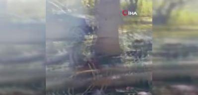 Rasulayn'da bombalı saldırı: 2 &ouml;l&uuml;
