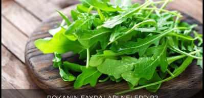 Rokanın v&uuml;cuda faydaları nelerdir?