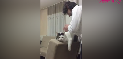 Sahibi ile konuşan kedi!