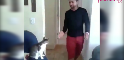 Sahibi ile tokalaşan kedi
