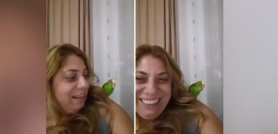 Sahibine, 'çok konuşma da kalk bir çay koy' diyen muhabbet kuşu