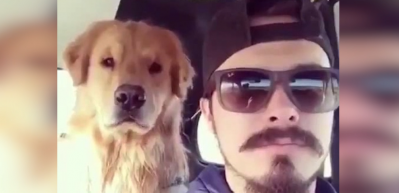 Sahibinin mimiklerini taklit eden k&ouml;pek g&uuml;ld&uuml;rd&uuml;