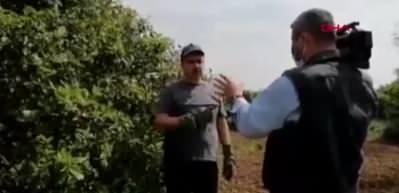 'Sahte limon' haberine soruşturma: 4 g&ouml;zaltı