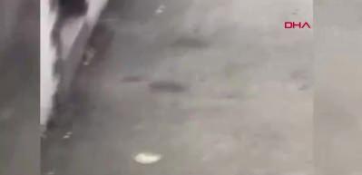 Sarıyer'de koca dehşeti! Eşinin sığındığı baba evine otomobiliyle defalarca &ccedil;arptı