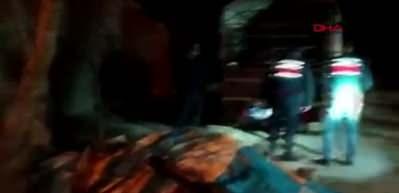 Şehit annesi, oğlunun ismini verdiği kuzusu ile koyunlarına kavuştu