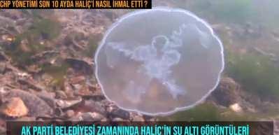 Şenocak: 25 yıl İstanbul'un g&ouml;zbebeği gibi bakılan Hali&ccedil; 10 ayda &ccedil;amura d&ouml;nd&uuml;