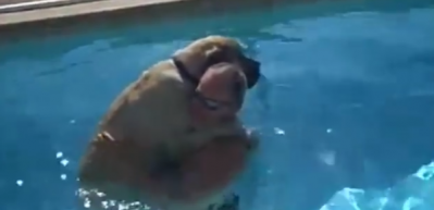Sevimli k&ouml;pek, su korkusunu b&ouml;yle yendi