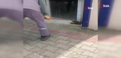 Sıcaklar tavan yaptı, yılanlar ortaya &ccedil;ıkmaya başladı