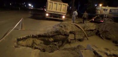 Sınır kapısına giden yolda &ccedil;&ouml;kme