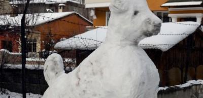 Sivas'ta kardan Kangal k&ouml;peği yaptılar