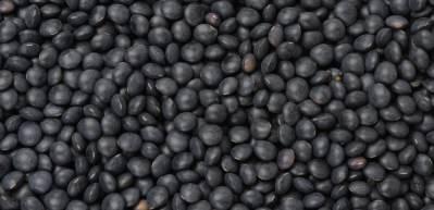 Siyah mercimek ne işe yarar?