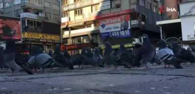 Sokağa &ccedil;ıkma kısıtlamasında polis a&ccedil; kalan g&uuml;vercinleri elleriyle besledi