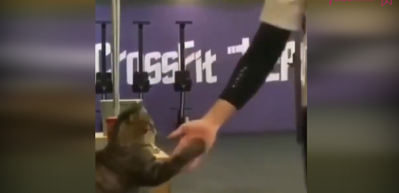 Sporcularla &ccedil;ak beşlik yapan kedi