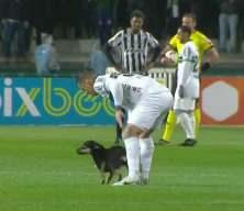 Köpeği büyüleyen Alef Manga! Futbolcunun köpeği şefkatle yakalayışı herkesin takdirini kazandı
