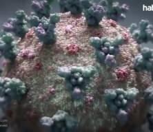 Dünyayı sarsan 'koronavirüs' iddiası! ABD fonuyla üretildi, pandemi öncesi yayıldı