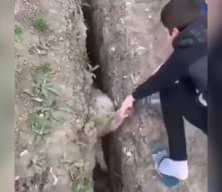 Erdoğan kazandı Fetöcü Hakan Şükür hakaret etti!
