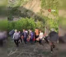 Tunceli'de hayvanlarını otlatan bir kişiye ayı saldırdı