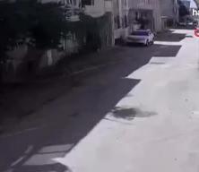 Bursa'da sokak köpekleri 3 çocuğa saldırdı!