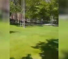 Konya'da parkta başıboş köpek göremeyen o şahıs hakaretler yağdırdı!